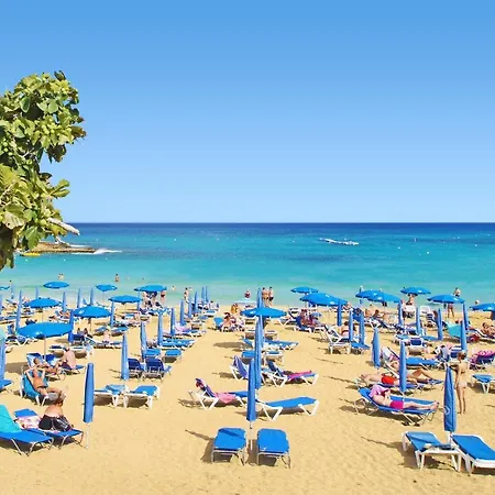 Veronica - Coralli Beachfront *